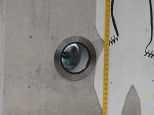 ガラス面から見つめるポロロの写真1