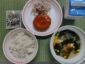煮込みハンバーグ