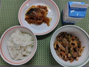 11月17日 中学校