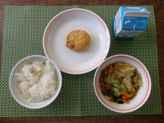 大豆ごぼうミンチカツ